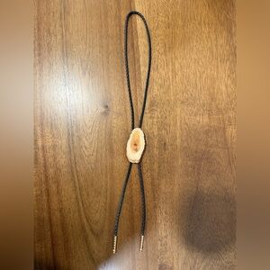 Petrified Wood Bolo Tie